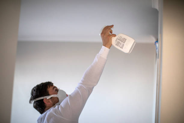 Best Same-Day Mold Removal  in Fairborn, OH
