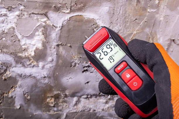 Mold Removal Process in Fairborn, OH